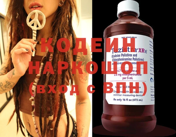 индика Заводоуковск