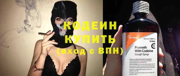 индика Заводоуковск