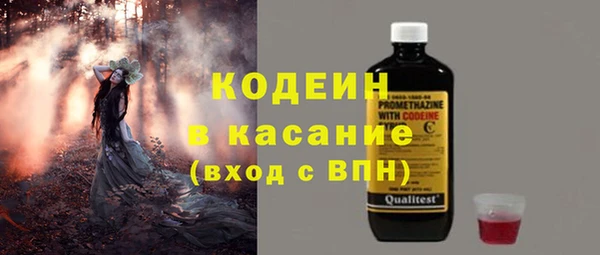 индика Заводоуковск
