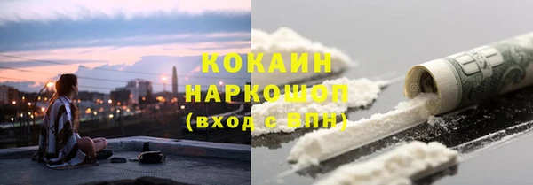 индика Заводоуковск