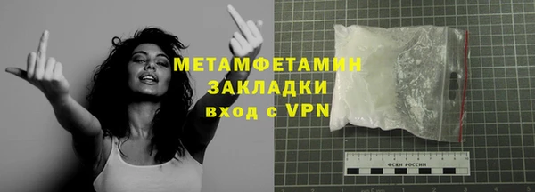 индика Заводоуковск