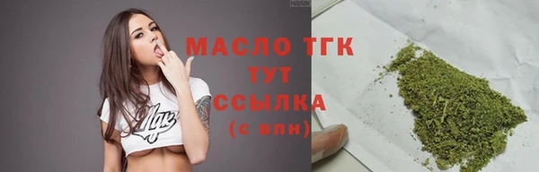 индика Заводоуковск