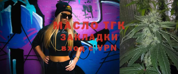 индика Заводоуковск
