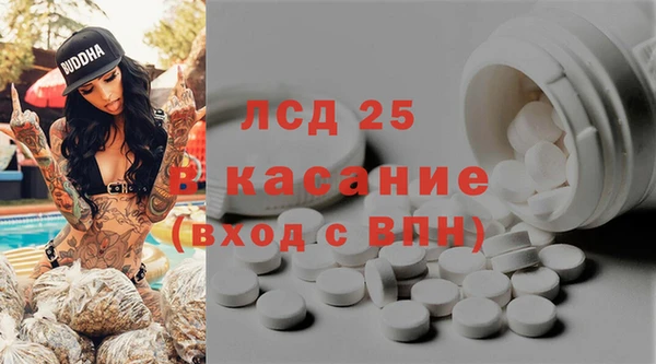 индика Заводоуковск