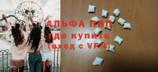 индика Заводоуковск