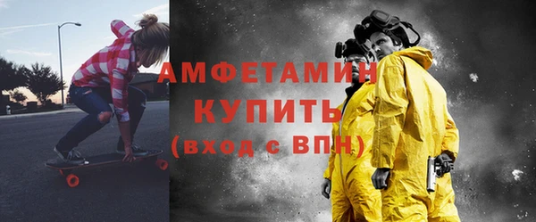 индика Заводоуковск