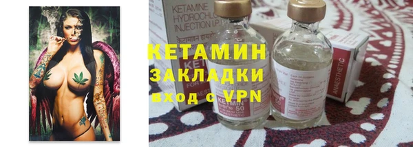 индика Заводоуковск