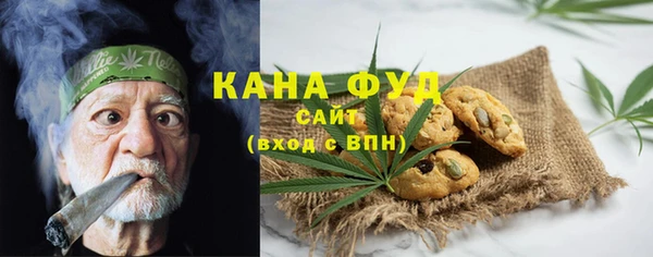 индика Заводоуковск